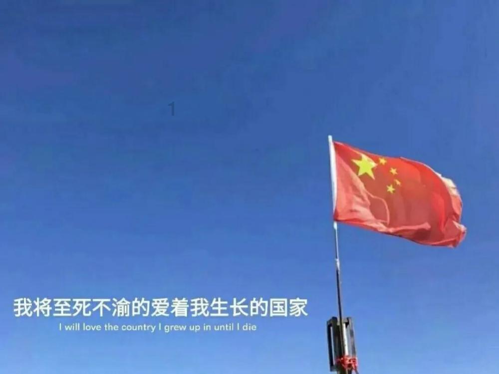拯救蓝色小鸟